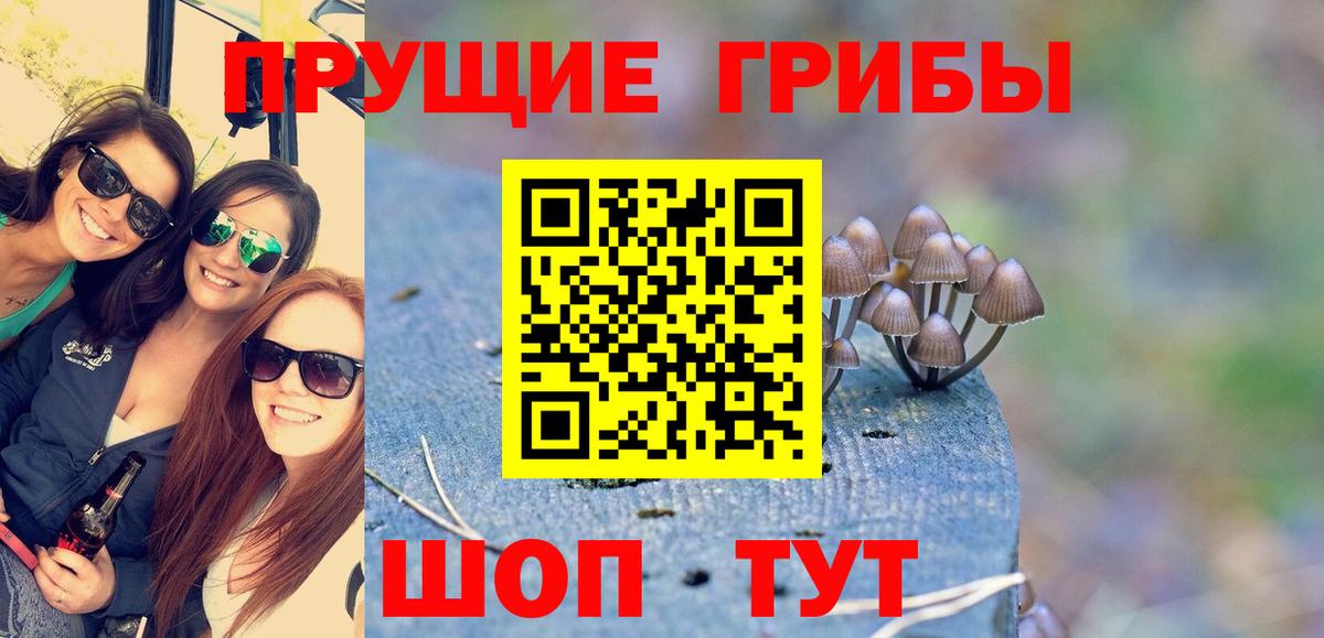 Галлюциногенные грибы Cubensis Старая Купавна