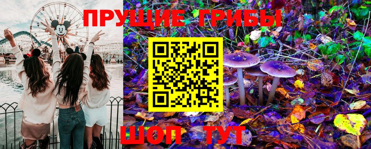 Галлюциногенные грибы MAGIC MUSHROOMS  Псилоцибиновые грибы Psilocybe  Старая Купавна  Вход с VPN 
